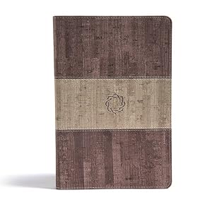 Seller image for Essential Teen Study Bible : Christian Standard Bible, Weathered Gray Cork LeatherTouch for sale by GreatBookPricesUK