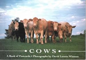 Bild des Verkufers fr Cows: A Book of Postcards zum Verkauf von Leura Books