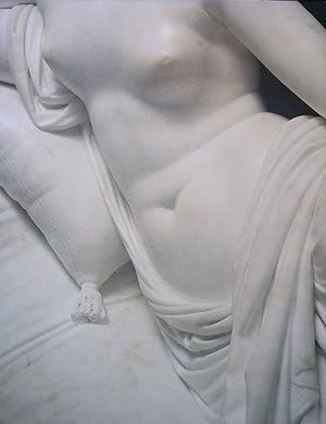 Imagen del vendedor de Venere vincitrice. La Sala di Paolina Bonaparte alla Galleria Borghese a la venta por FolignoLibri