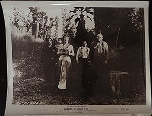 Seller image for Zombies of Mora Tau 8 x 10 Still 1957 Gregg Palmer, Allison Hayes for sale by AcornBooksNH