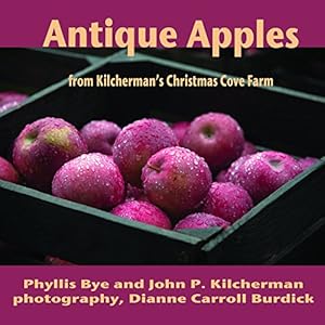 Bild des Verkufers fr Antique Apples zum Verkauf von ZBK Books