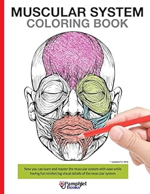 Bild des Verkufers fr Muscular System Coloring Book: Now you can learn and master the muscular system with ease while having fun zum Verkauf von ZBK Books