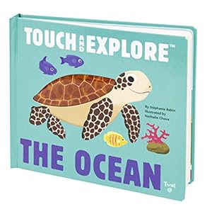 Seller image for The Ocean (Touch and Explore) (Touch and Explore, 1) for sale by ZBK Books