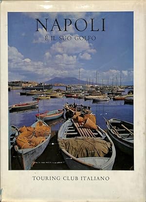 Bild des Verkufers fr Napoli e il suo golfo zum Verkauf von FolignoLibri