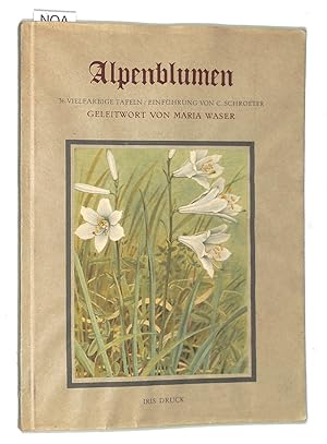 Imagen del vendedor de Alpenblumen. 36 vielfarbige tafeln/einfuhrung von C. Schroeter. Geleitwort von Maria Waser a la venta por FolignoLibri