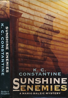 Seller image for Sunshine Enemies for sale by Barter Books Ltd