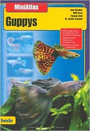 Seller image for Guppys, MiniAtlas : 1000 Guppys nach Europischem und Asiatischem Standard. alle bekannten Farben und Flossenformen. Zuchtziele und ihre Umsetzung for sale by AHA-BUCH