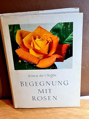 Begegnung mit Rosen.