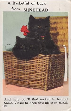 A Basketful Of Luck From Minehead Cat Mailing Novelty Old Postcard