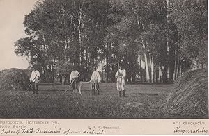 Petite Russie Little Russia Hay Making Farming Antique Postcard