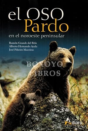 Imagen del vendedor de El oso pardo en el noroeste peninsular a la venta por Boxoyo Libros S.L.