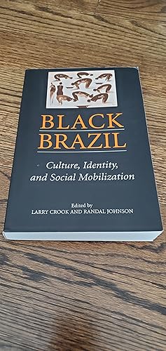 Bild des Verkufers fr Black Brazil culture identity and social mobilization zum Verkauf von Joes Books