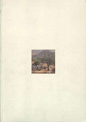 Seller image for Taneka Beri. Premio internazionale Carlo Scarpa per il giardino for sale by FolignoLibri