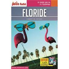 Bild des Verkufers fr Guide Floride 2018 Carnet Petit Fut zum Verkauf von Dmons et Merveilles