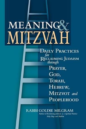Seller image for Meaning & Mitzvah for sale by BuchWeltWeit Ludwig Meier e.K.
