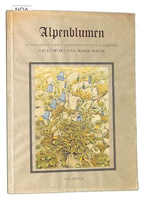 Imagen del vendedor de Alpenblumen. 18 farbtafeln nach der natur von Paul. A. Robert. Geleitwort von Maria Waser a la venta por FolignoLibri