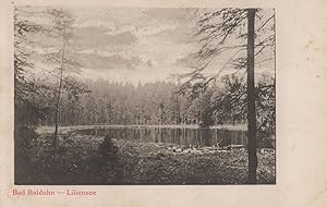 Liliensee Lake Bad Baldohn Die Altau Korytiny Austria Rare Old Postcard