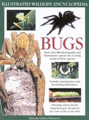 Seller image for The Big Bug Book for sale by WeBuyBooks