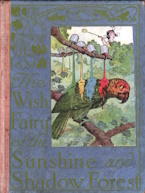 The wish fairy of the sunshine and shadow forest