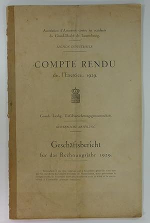 Geschäftsbericht für das Rechungsjahr 1929. Compte Rendu de l'Exercice 1929.