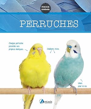 Perruches