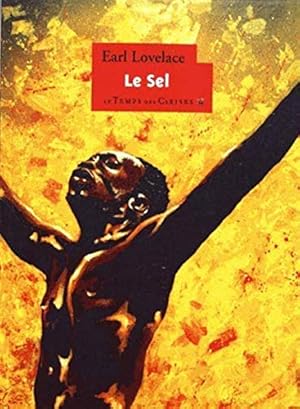 Seller image for Le sel for sale by Dmons et Merveilles
