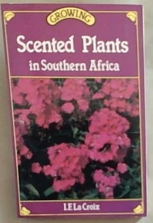 Growing Scented Plants in Southern Africa