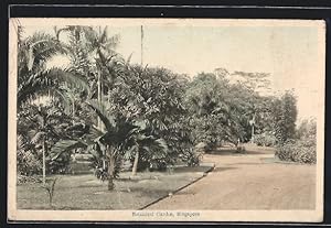 Ansichtskarte Singapore, Botanical Garden