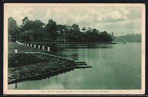 Ansichtskarte Singapore, The Lake in Impounding Reservoir Thomson Road