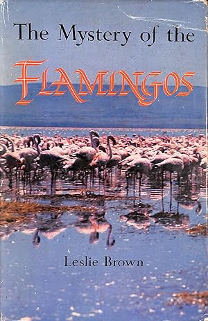 The mystery of the flamingos