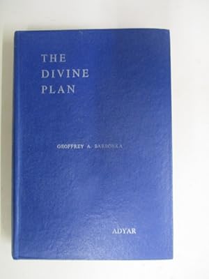 Seller image for Divine Plan for sale by GREENSLEEVES BOOKS