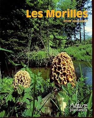 Les morilles