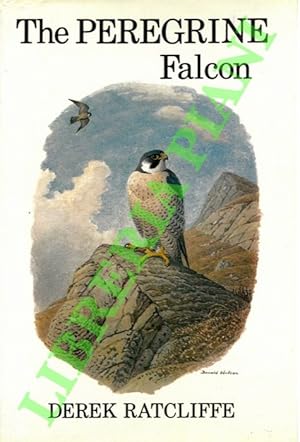 Bild des Verkufers fr The peregrine falcon. zum Verkauf von Libreria Piani