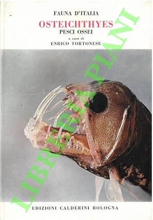 Osteichthyes. (Pesci ossei). Parte prima.