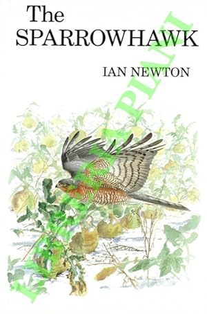 The Sparrowhawk.