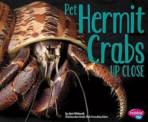 Bild des Verkufers fr Pet Hermit Crabs Up Close zum Verkauf von moluna