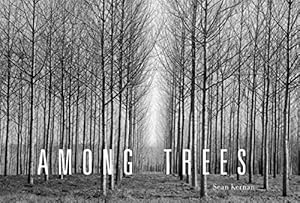 Imagen del vendedor de Among Trees a la venta por WeBuyBooks