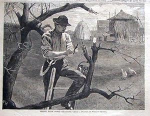 Spring Farm Work-Grafting (wood engraving by Winslow Homer)