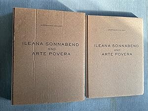 Ileana Sonnabend and Arte Povera