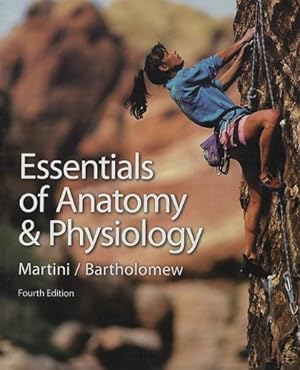 Imagen del vendedor de Essentials of Anatomy And Physiology a la venta por ZBK Books