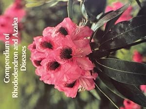 Seller image for Compendium of Rhododendron and Azalea Diseases for sale by Calendula Horticultural Books