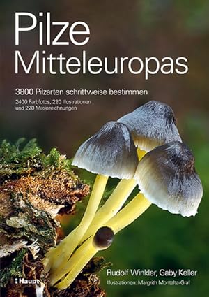 Pilze Mitteleuropas - 3800 Pilzarten schrittweise bestimmen. 2400 Farbfotos, 220 Illustrationen u...