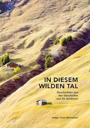 Immagine del venditore per In diesem wilden Tal Geschichten aus der Geschichte von St. Antnien venduto da primatexxt Buchversand