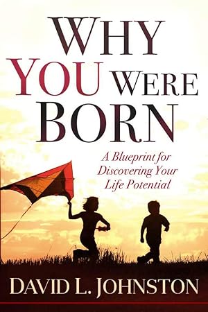 Image du vendeur pour Why You Were Born mis en vente par Redux Books