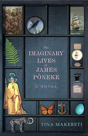 Immagine del venditore per The Imaginary Lives of James Poneke venduto da Redux Books