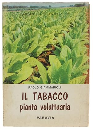 IL TABACCO PIANTA VOLUTTUARIA.: