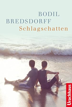 Seller image for Schlagschatten Bodil Bredsdorff. Aus dem Dn. von Patrick Zller for sale by Antiquariat Buchhandel Daniel Viertel