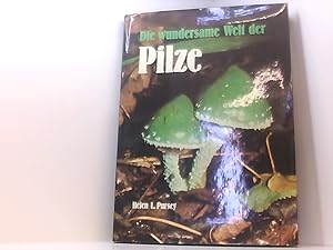 Seller image for Die wundersame Welt der Pilze for sale by Book Broker