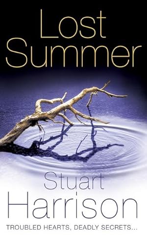 Seller image for Lost Summer for sale by AHA-BUCH GmbH