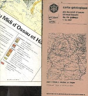 Bild des Verkufers fr Carte geologique - pic du midi d'ossau et haut bassin du rio gallego, 1/25 000e - inclus une carte couleur zum Verkauf von Le-Livre